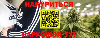 mdpv Краснознаменск